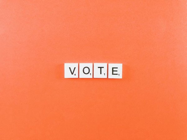 Quelles sont les bonnes pratiques pour la mise en place d'un système de vote en ligne pour une association ?